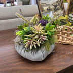 Succulent pumpkins