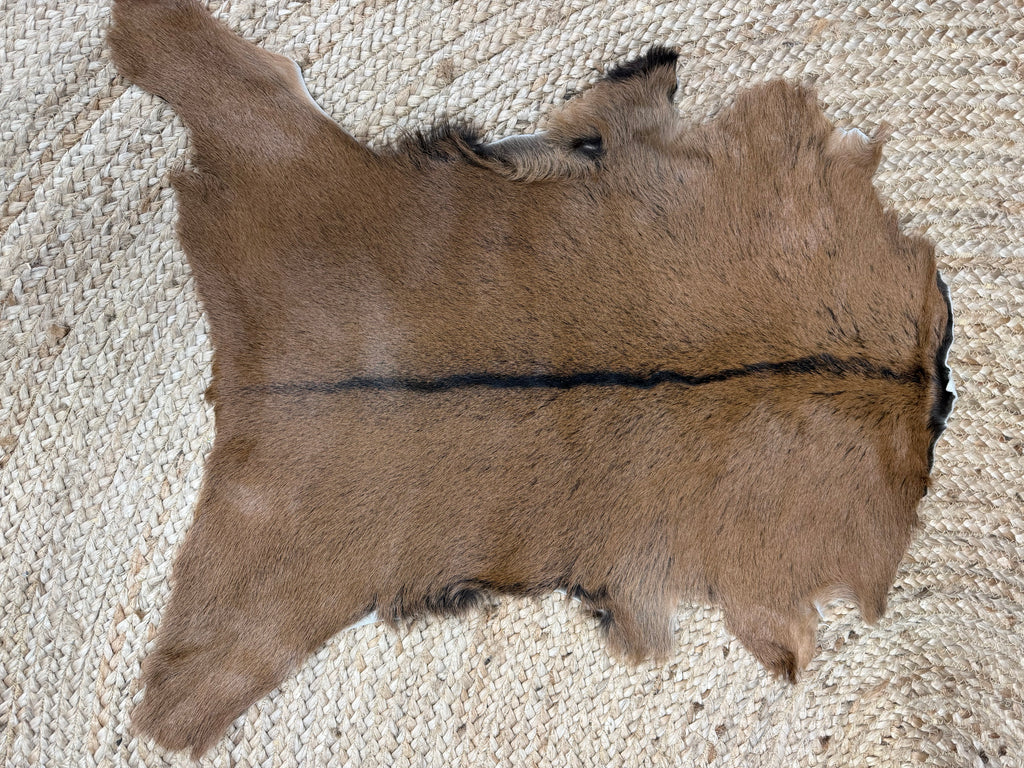 Goat Hides