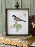 Feathered Friends Art