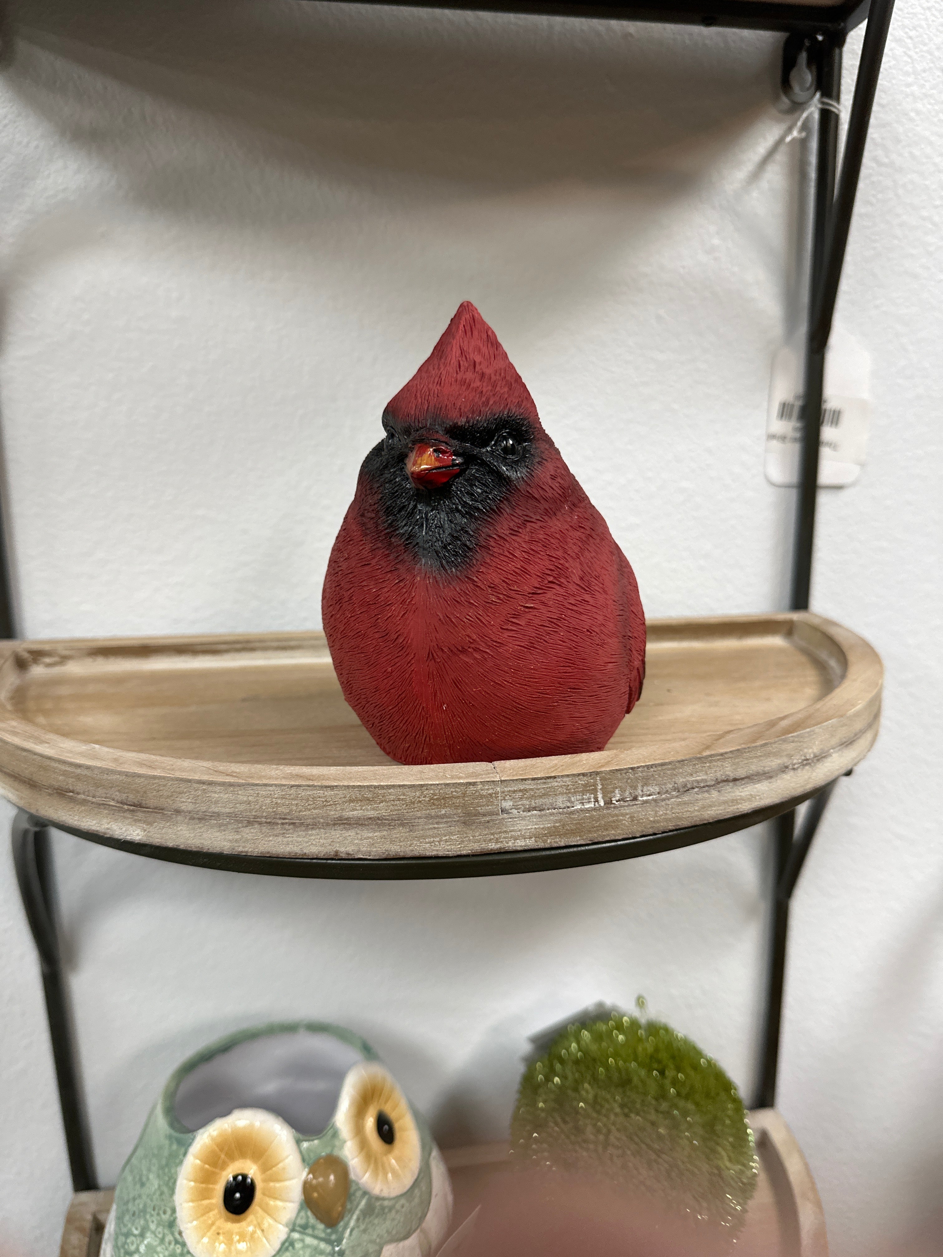 Red Cardinal