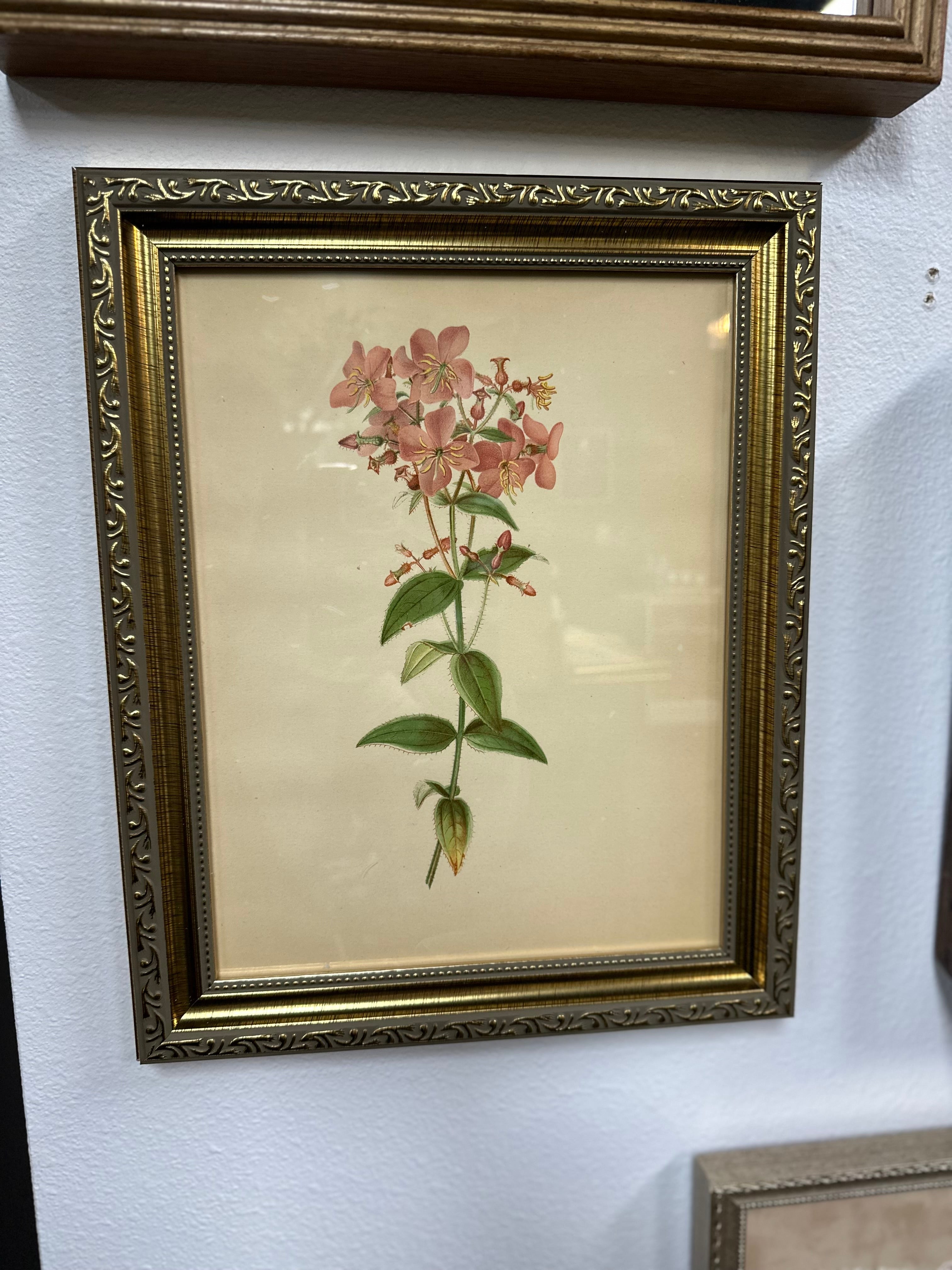 Vintage Art {Framed}