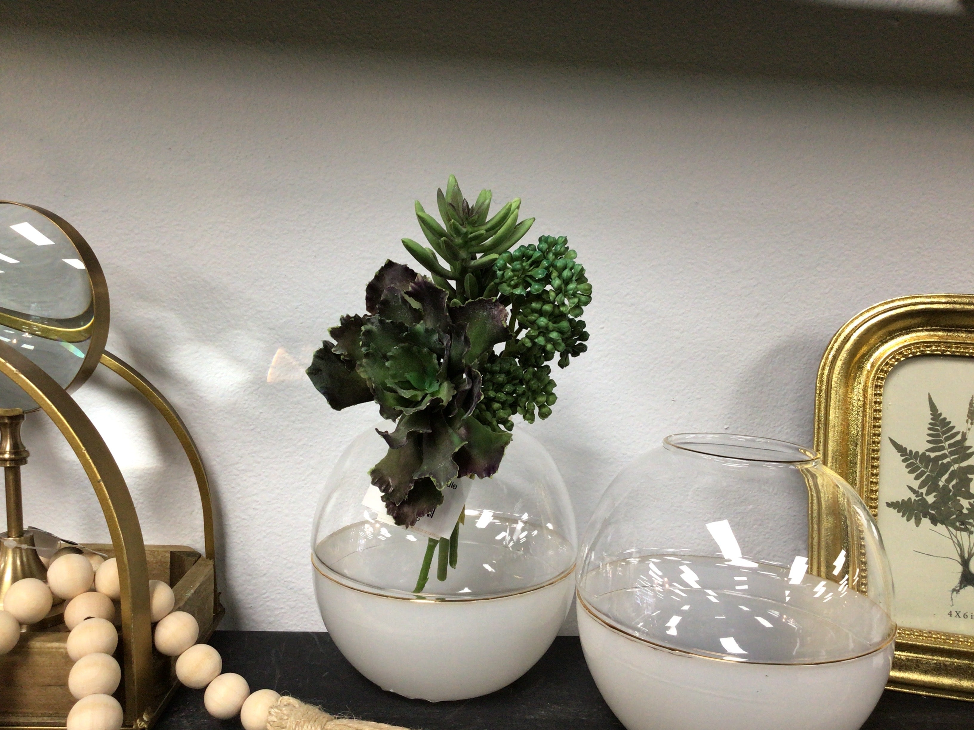 9.5" Suculent Bundle