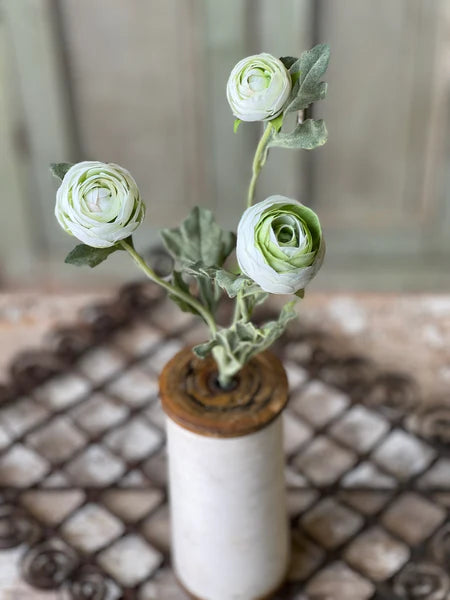 Lenten Rose Spray