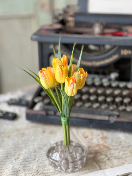 Tiny Tulips