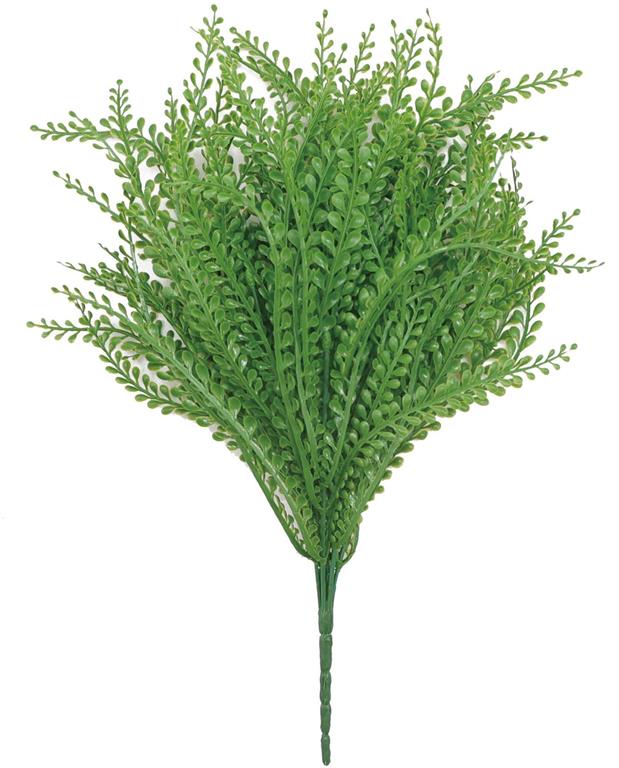 Jelly Bean Grass