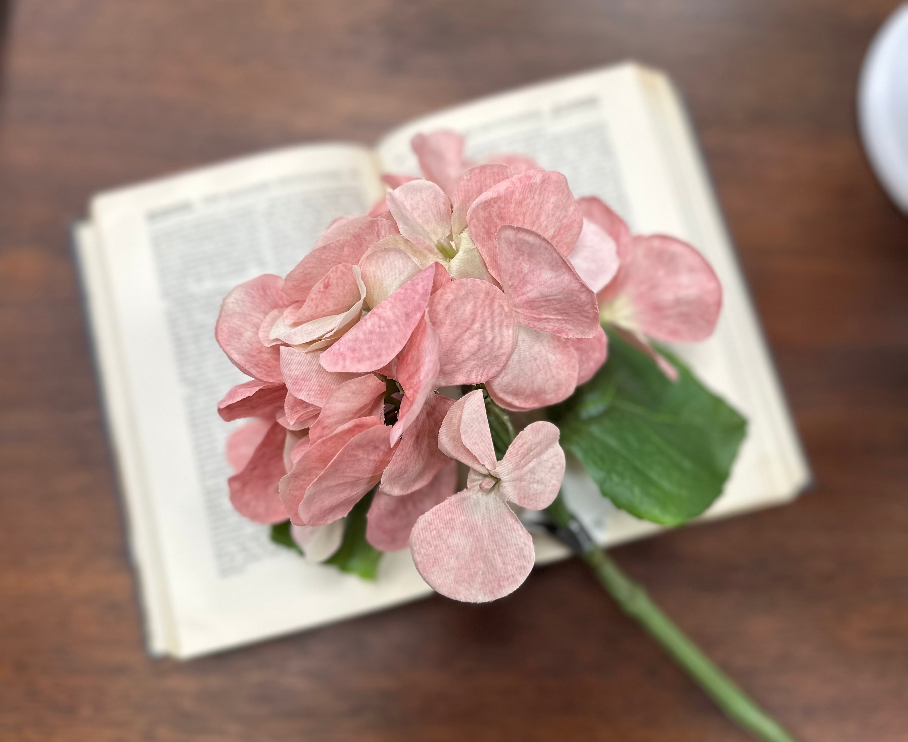Hydrangea Stems