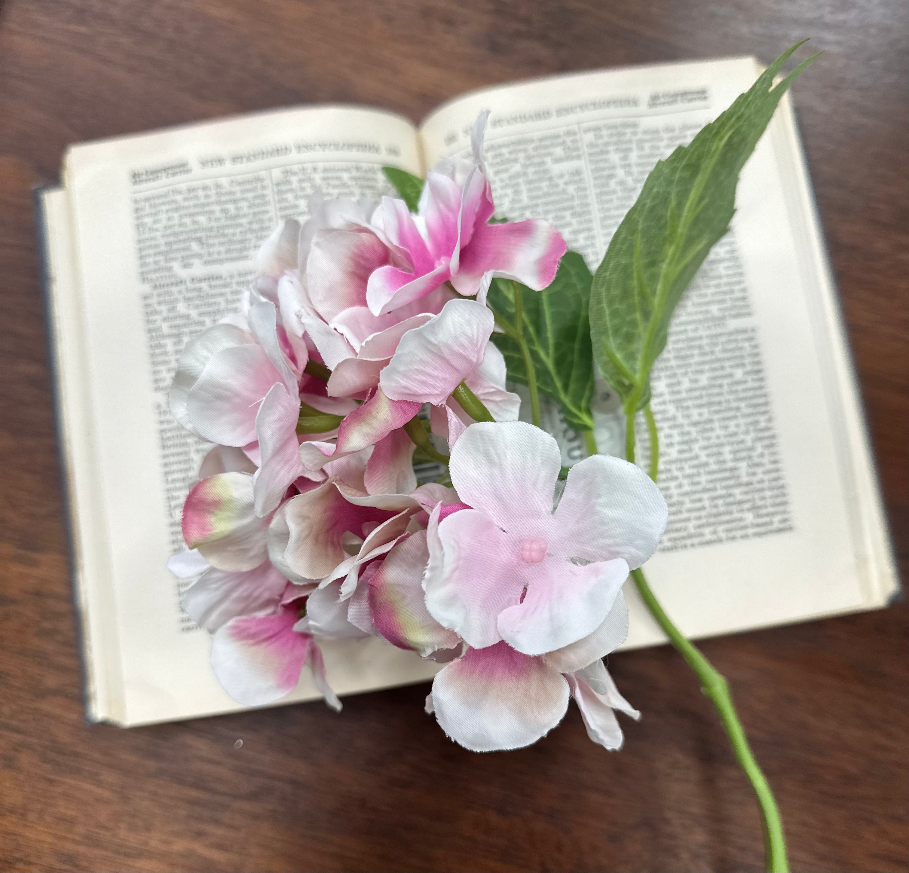 Hydrangea Stems