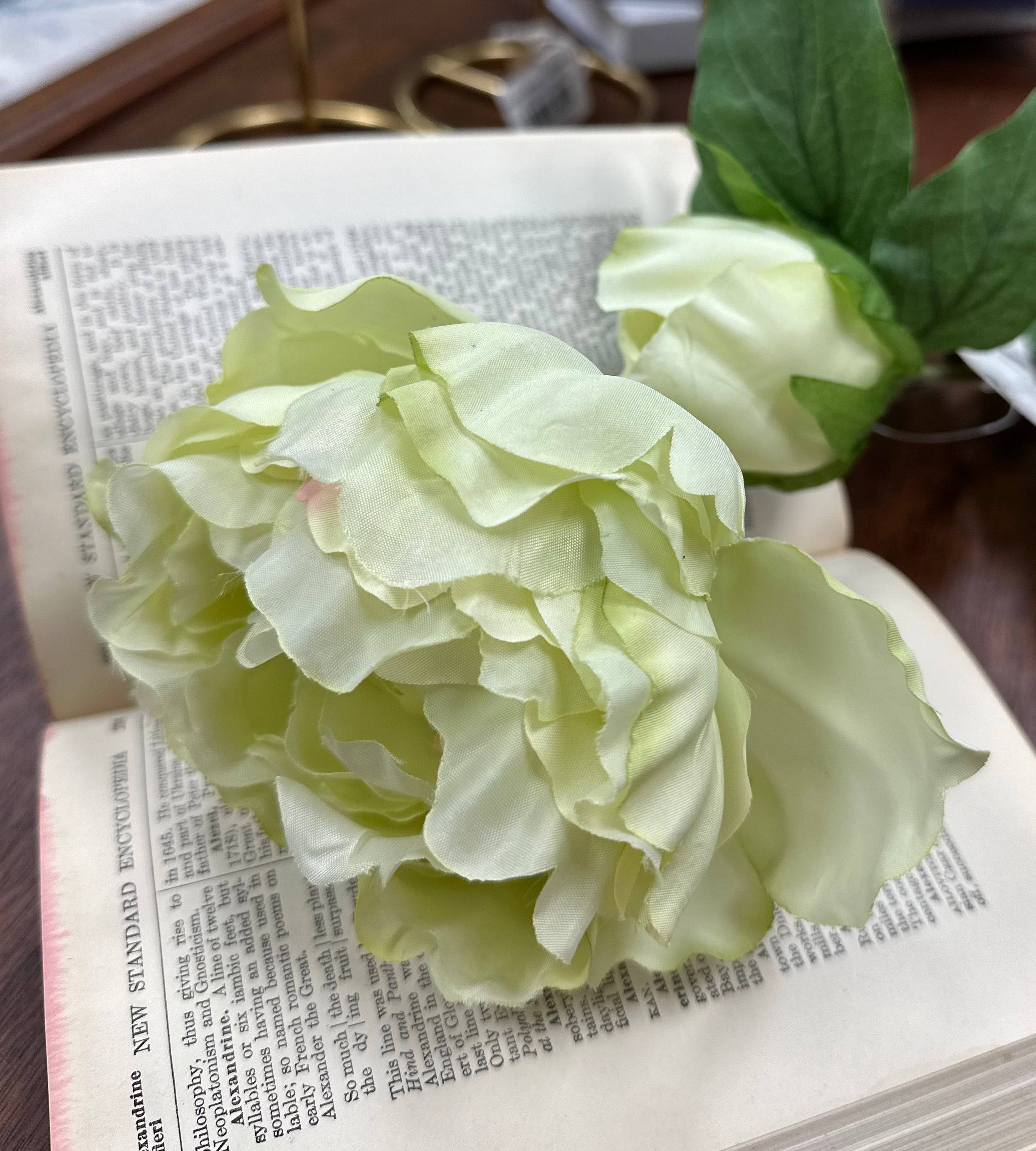 Light Green Peony