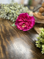 Peony Stem