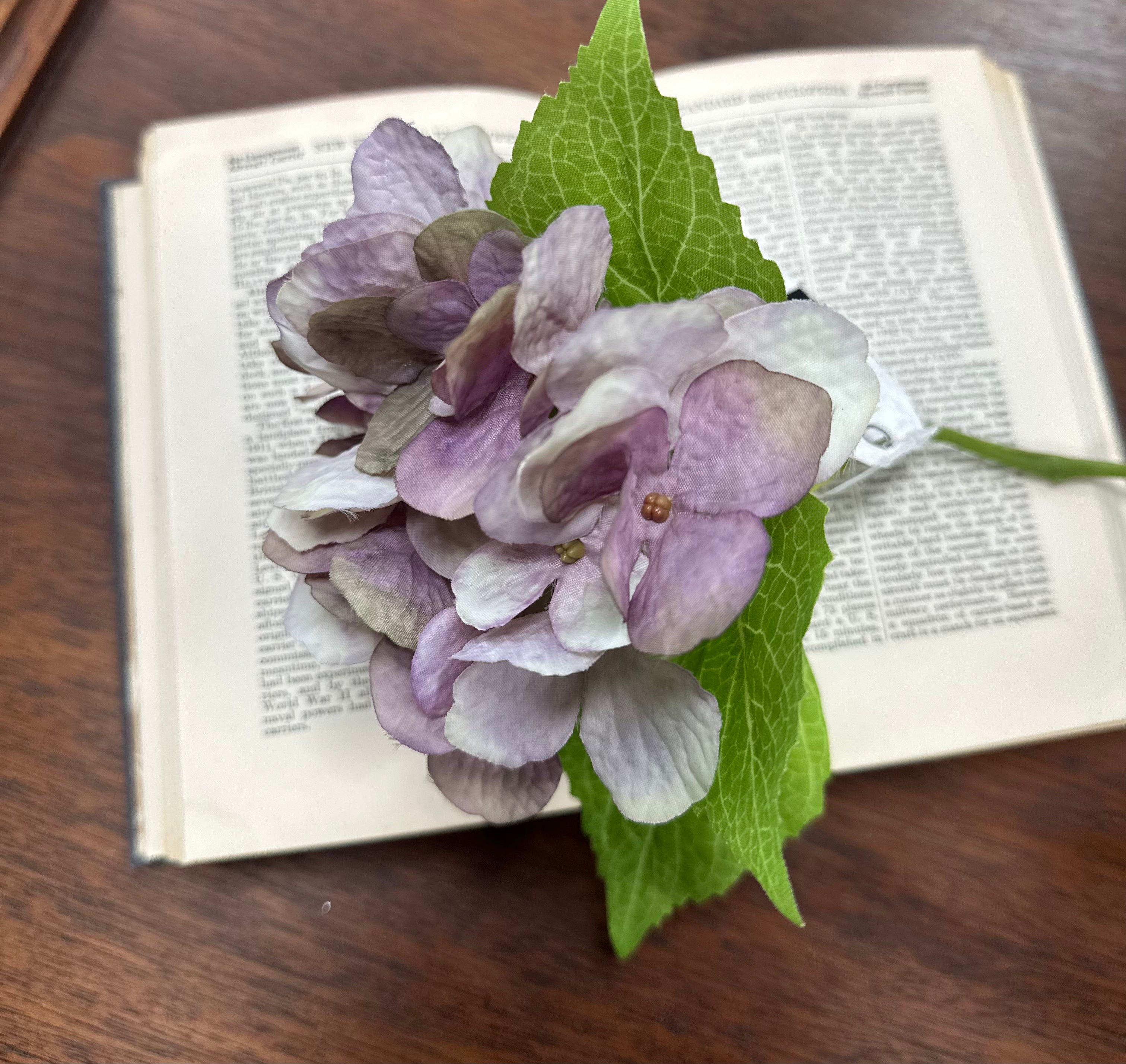 Hydrangea Stems