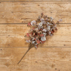 Light Chocolate & Green Eucalyptus Bush