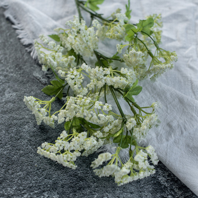 White Yarrow Spray