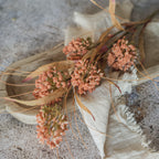 Orange Pom Pom Spray