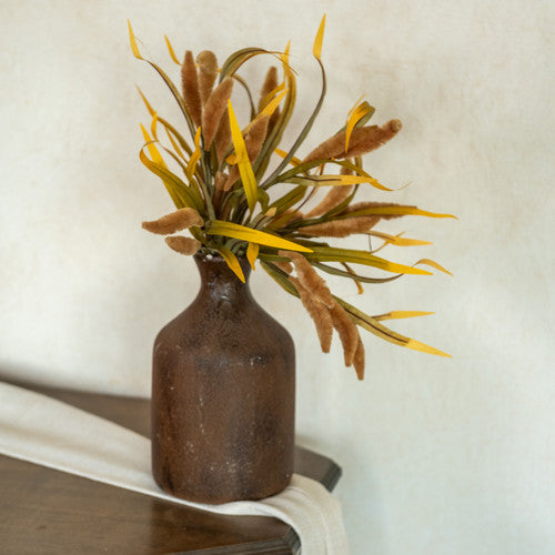 Coffee Foxtail Bush