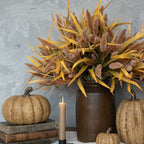 Coffee Foxtail Bush