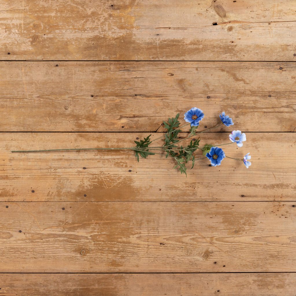 Blue Cosmo Spray