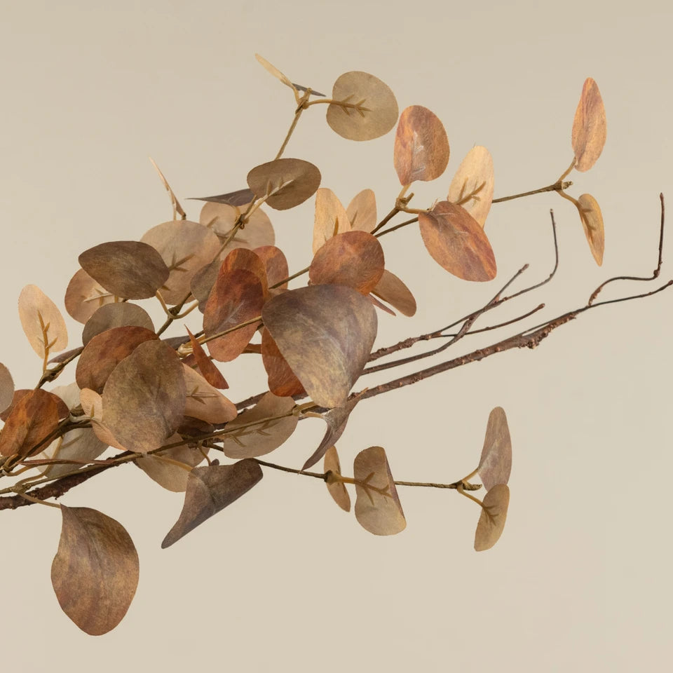 Orange Eucalyptus & Twig
