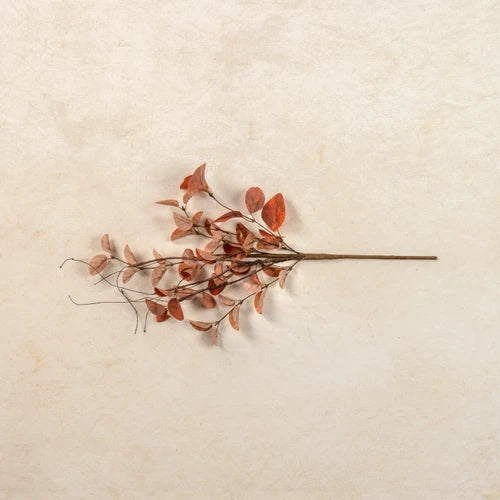 Orange Eucalyptus & Twig
