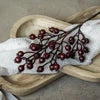 Burgundy Berry Pick