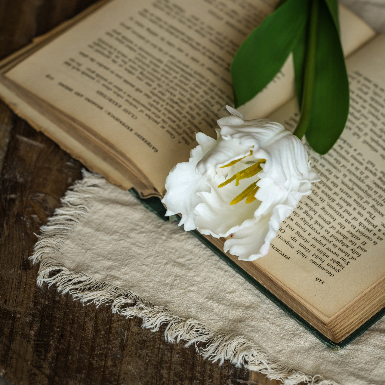 Parrot Tulip Soft Touch