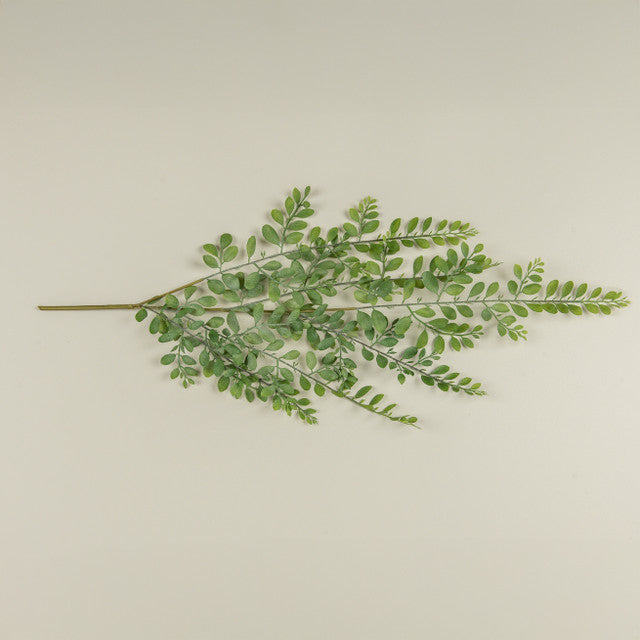 Dusty Ruscus Leaf Hanging