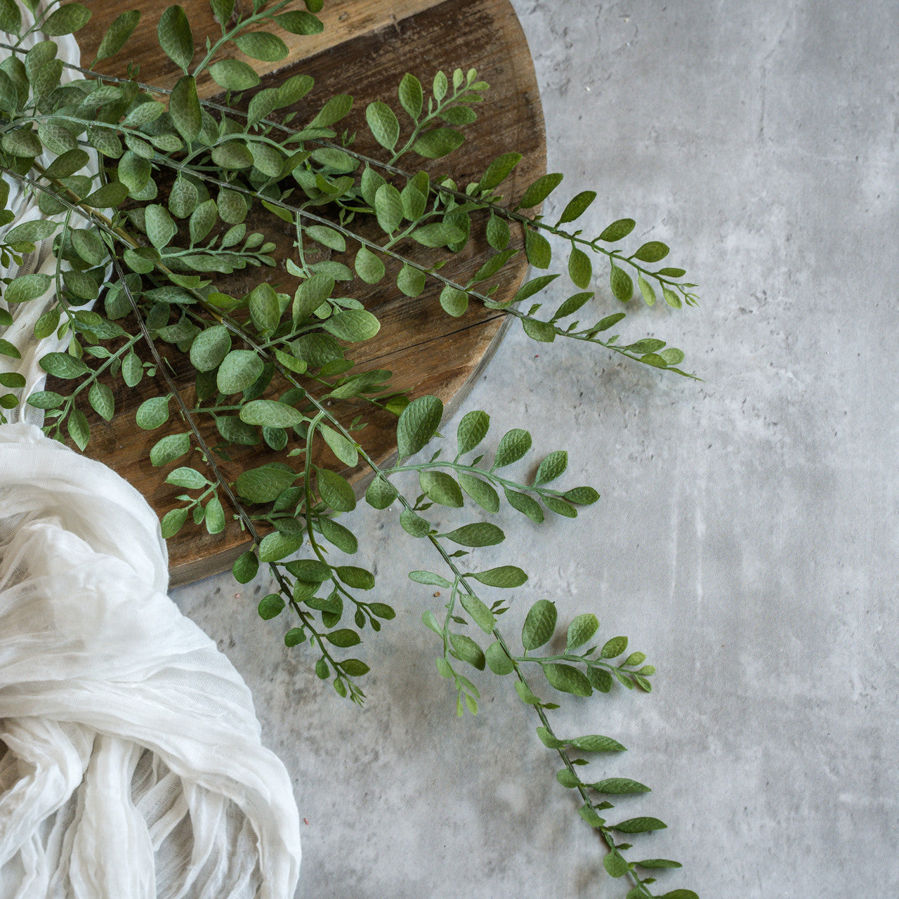 Dusty Ruscus Leaf Hanging