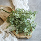 Crown Daisy Leaf Bush