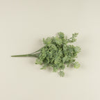 Crown Daisy Leaf Bush