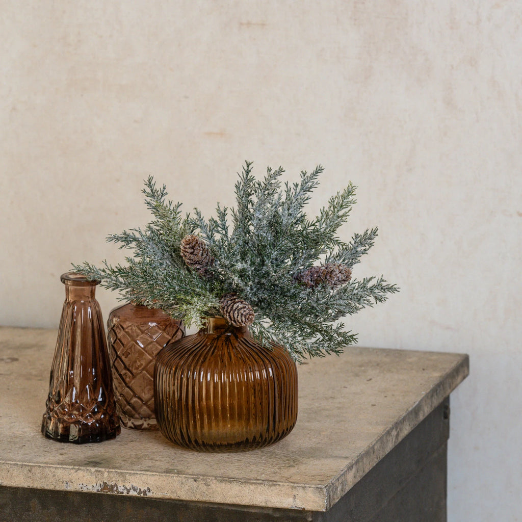 Glittered Prickly Pine Stem