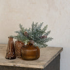 Glittered Prickly Pine Stem