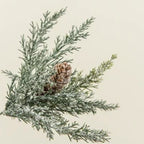 Glittered Prickly Pine Stem