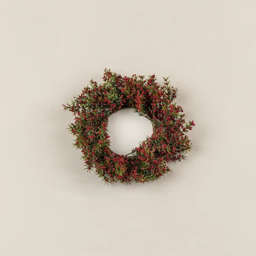 Asparagus Fern & Mini Red Berry