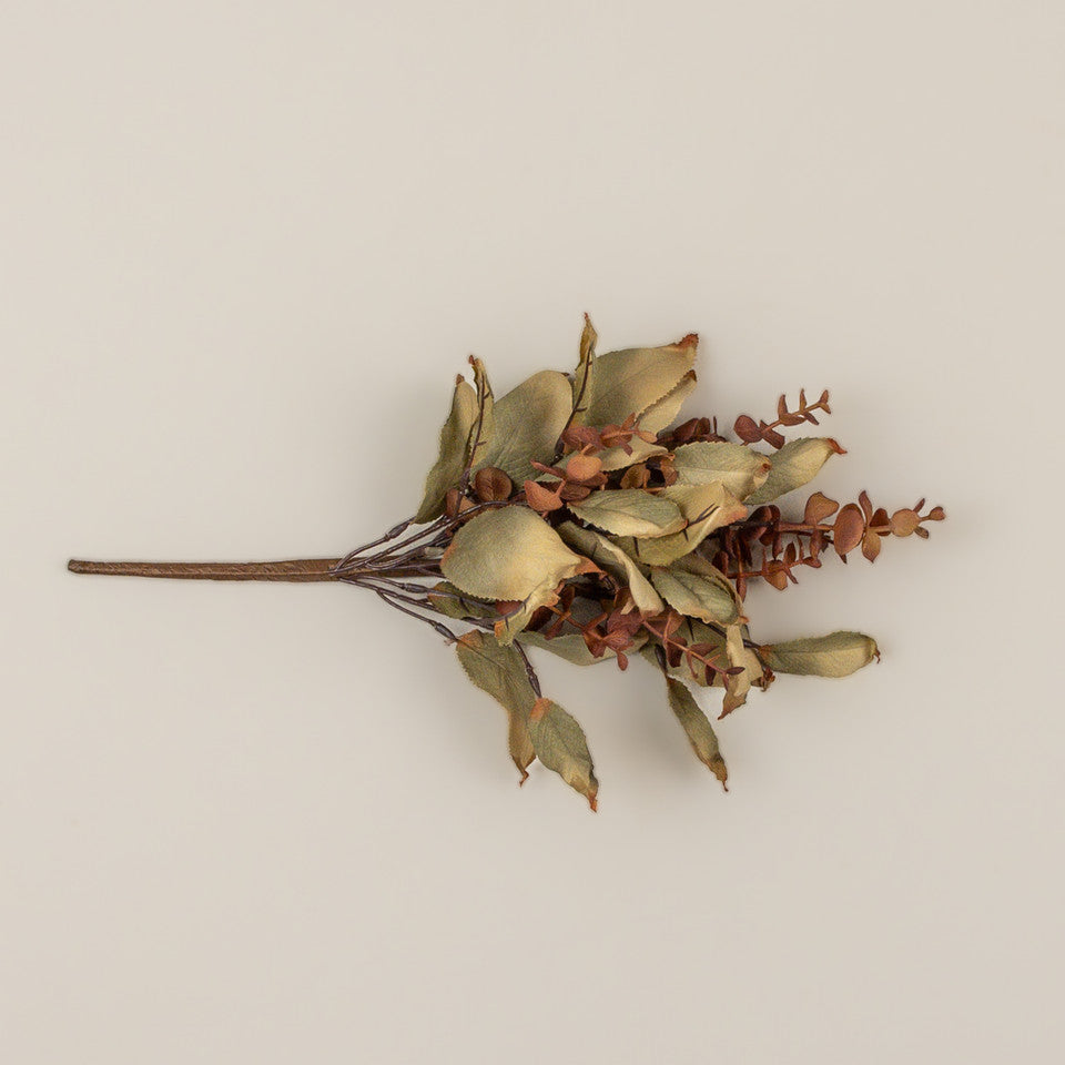 Brown Eucalyptus and Laurel Leaf Pick
