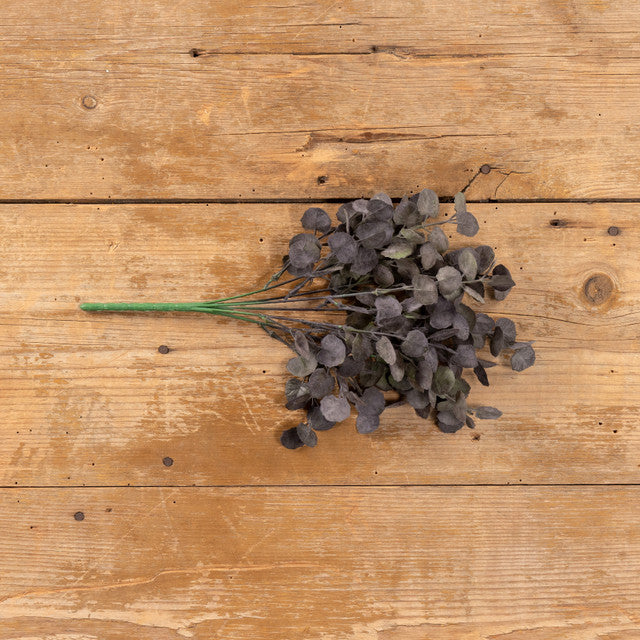 Poplar Leaf Bush Purple
