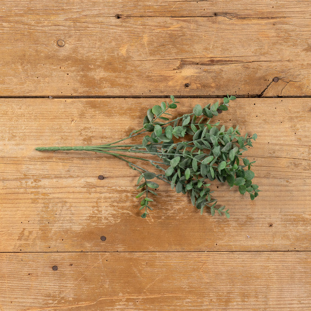 Eucalyptus Leaf Spray