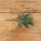 Eucalyptus Leaf Spray