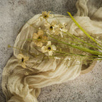 Pale Yellow Wildflowers