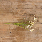 Pale Yellow Wildflowers