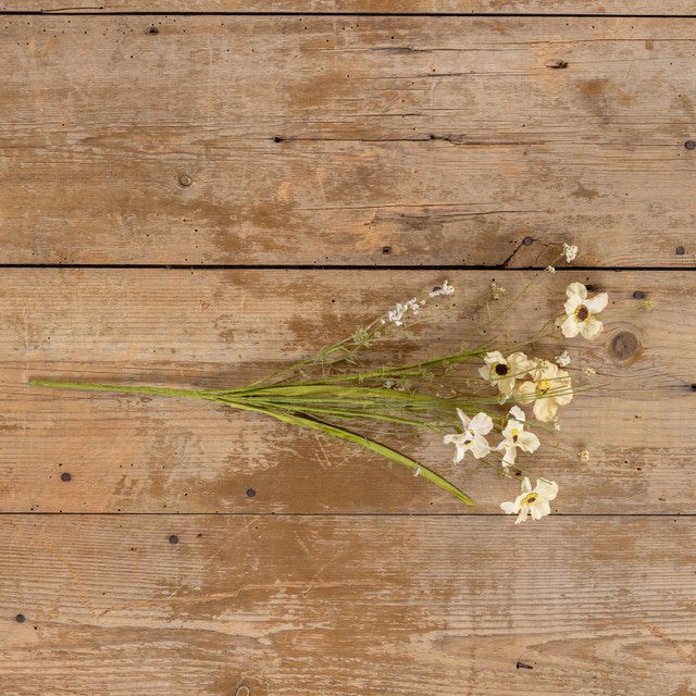 Pale Yellow Wildflowers