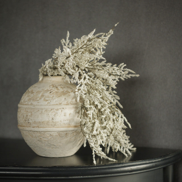 White Dance Plant Bush