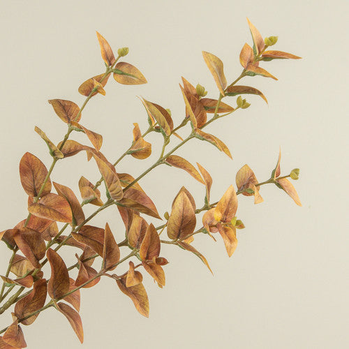 Golden Jasmine Spray