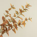 Golden Jasmine Spray