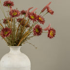 Rosewood Aster Spray