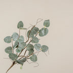 Glittered Eucalyptus & Twig