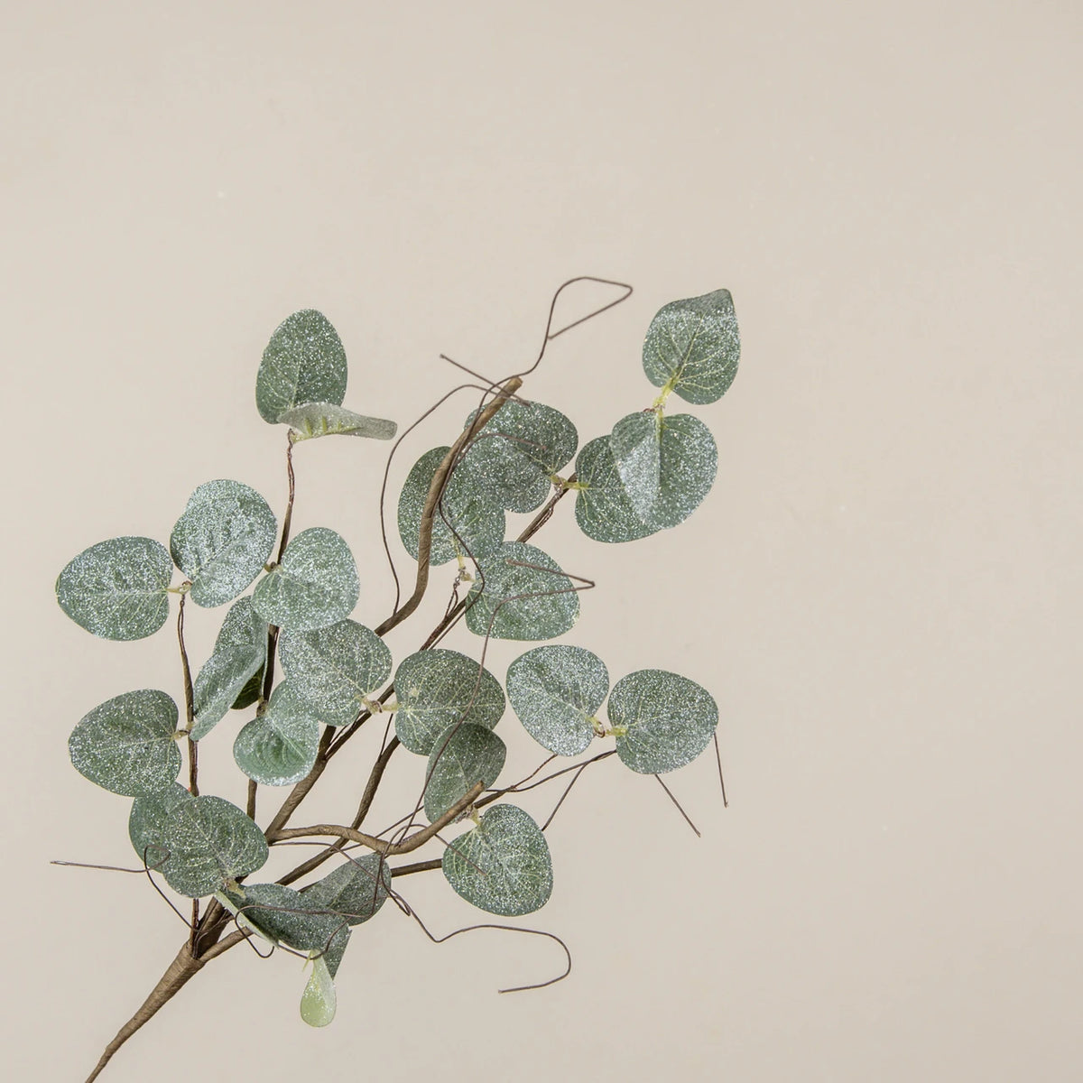 Glittered Eucalyptus & Twig