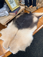 Goat Hides