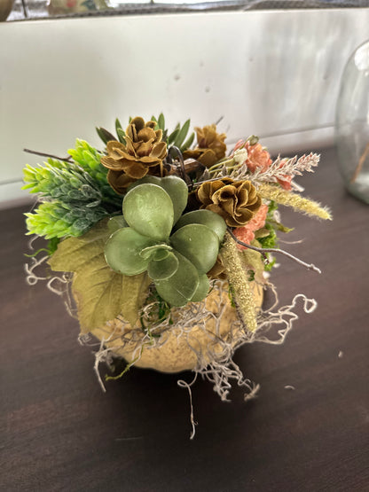 Succulent pumpkins