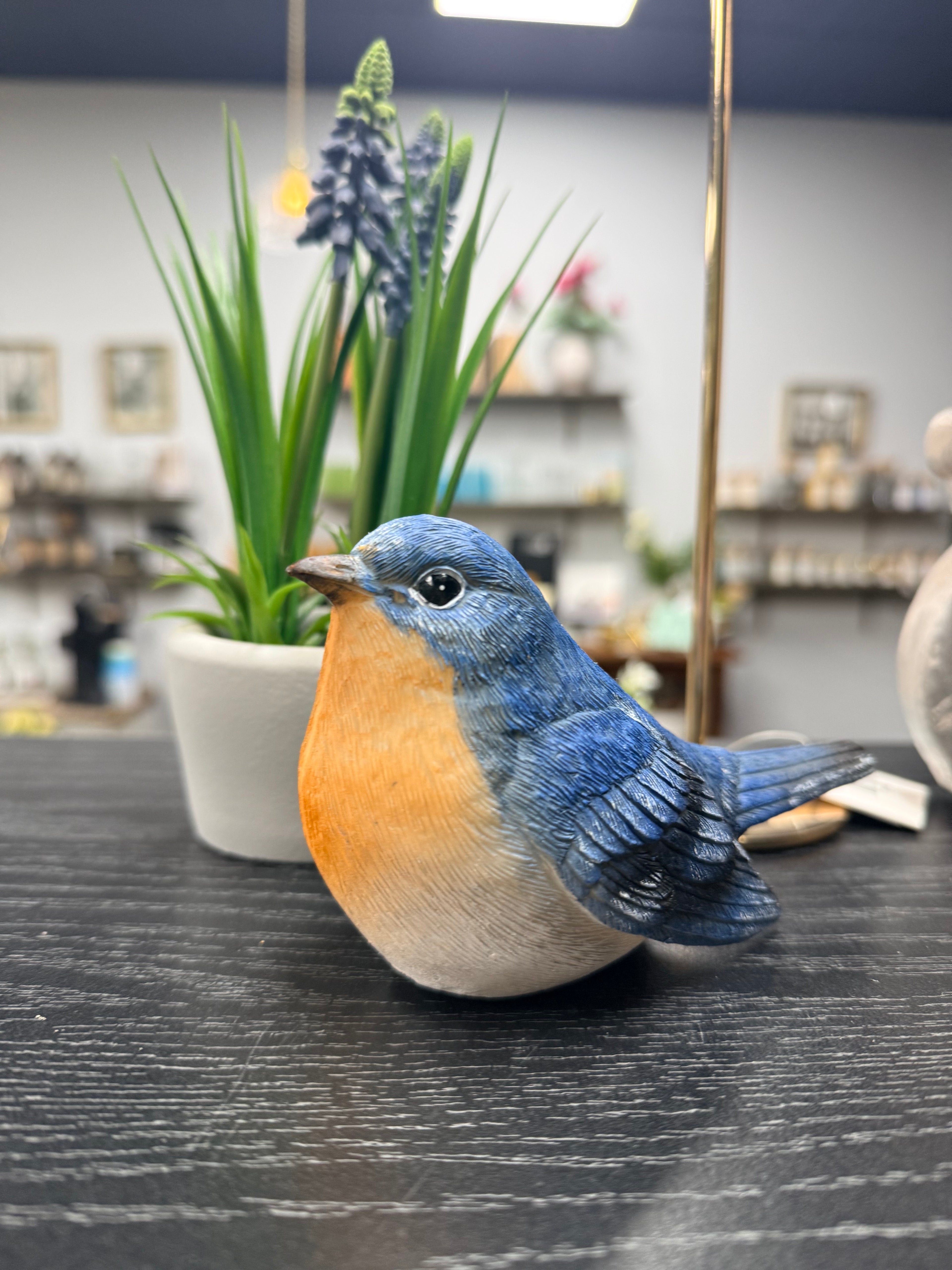 Blue Birds