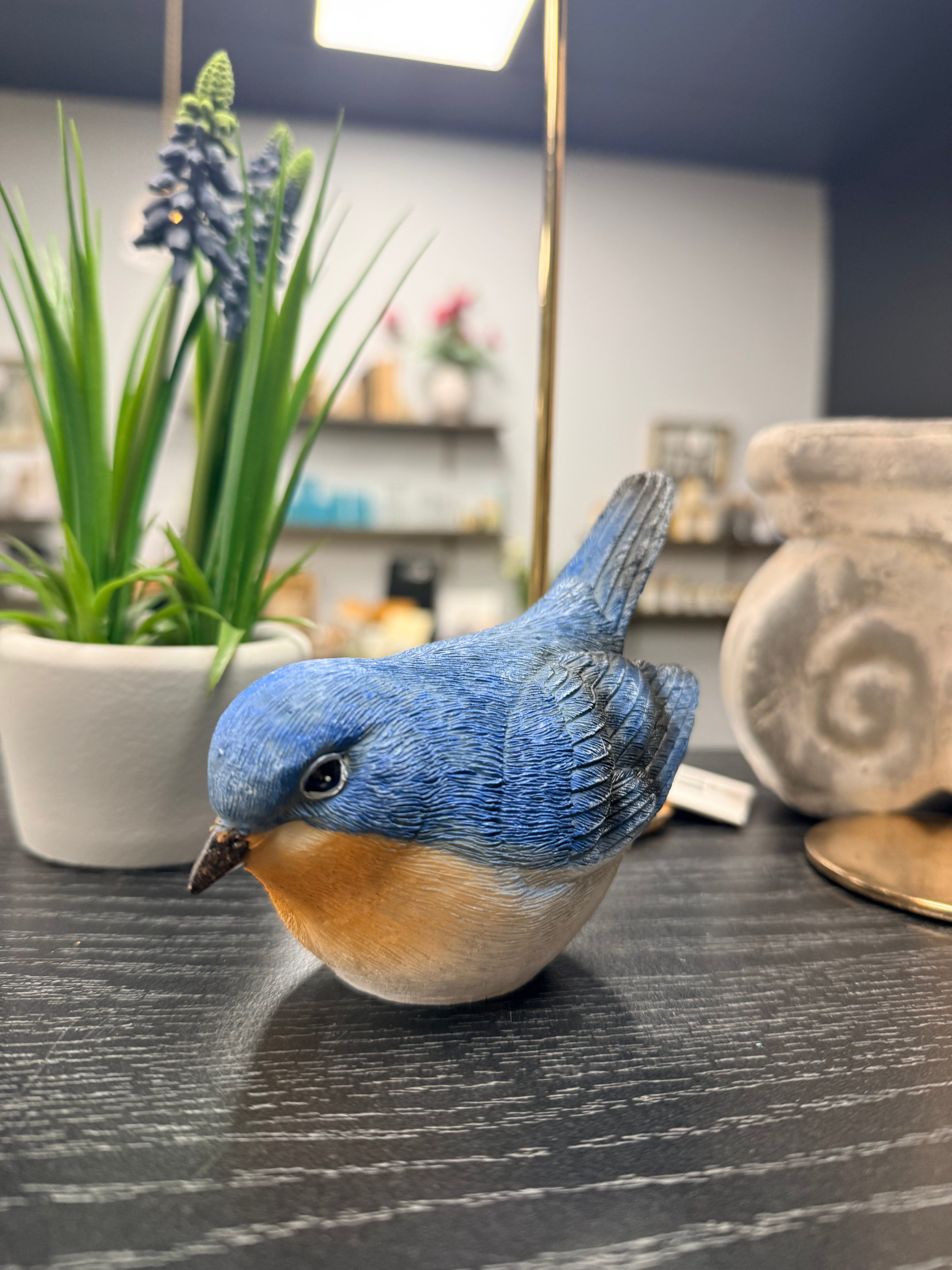 Blue Birds