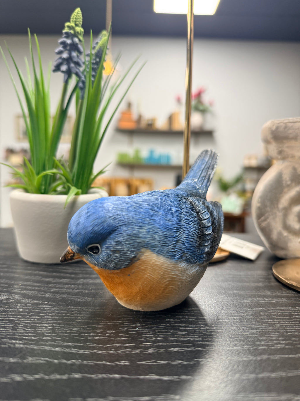 Blue Birds